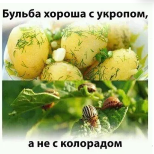 Ситуация в Беларуси требует немедленного международного вмешательства, - Тихановская - Цензор.НЕТ 6741