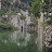 @Zoo-dy1jf