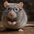 @Mrrat18