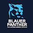 KHVbWaByAzE-channel-avatar-Blauer Panther – TV & Streaming Award