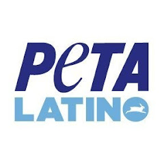 PETA Latino avatar