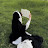 @خديجة_ع_ن