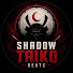 ajRjZzX1SVQ-channel-avatar-Shadow Taiko Beats