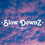 Slow DownZ logo