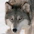 7RUfWu9qItk-channel-avatar-Macel