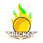 Today Cricket News  logo