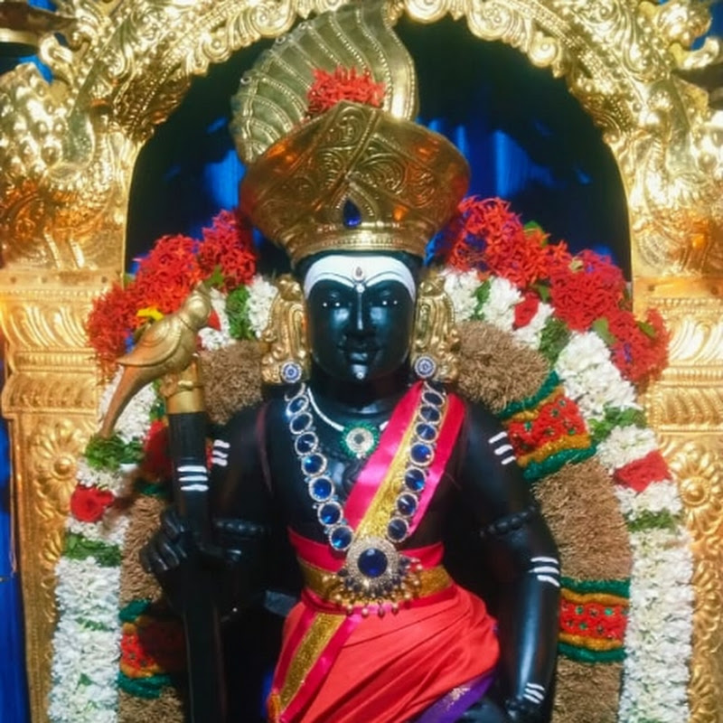 பழனி ஆண்டவர்