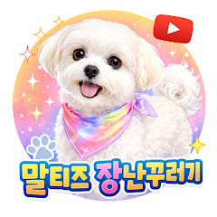 말티즈 장난꾸러기