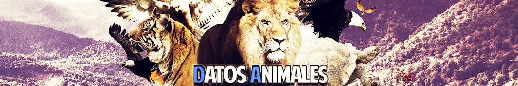 DatosAnimales - D.A. YouTube channel avatar