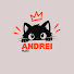 mRyCJTdS6Tk-channel-avatar-Andrei Plays
