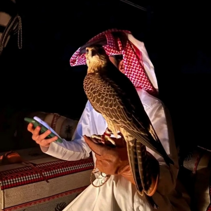 محمد احمد الحلبوسي 