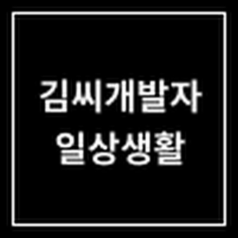 김씨개발자