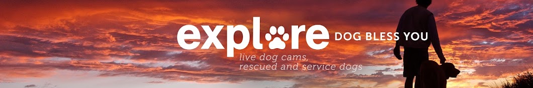 Explore Dogs YouTube channel avatar