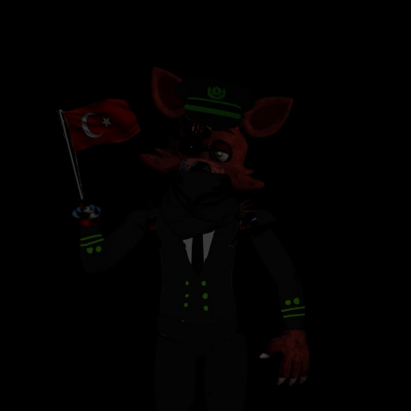 //Türk_Foxy🇹🇷\\ (Kanala Ara Verdim)