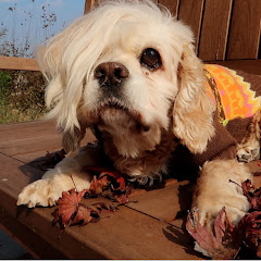 구름 위에 태양