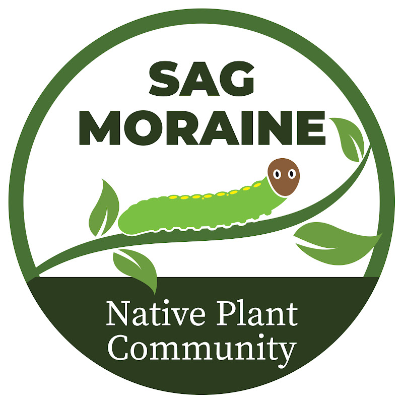 Sag Moraine Native Plant Community
