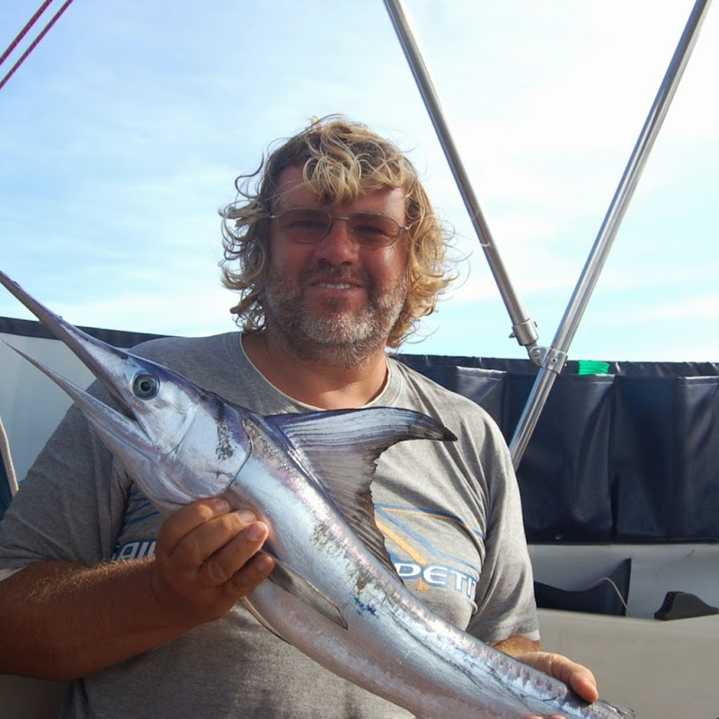sailingsquib