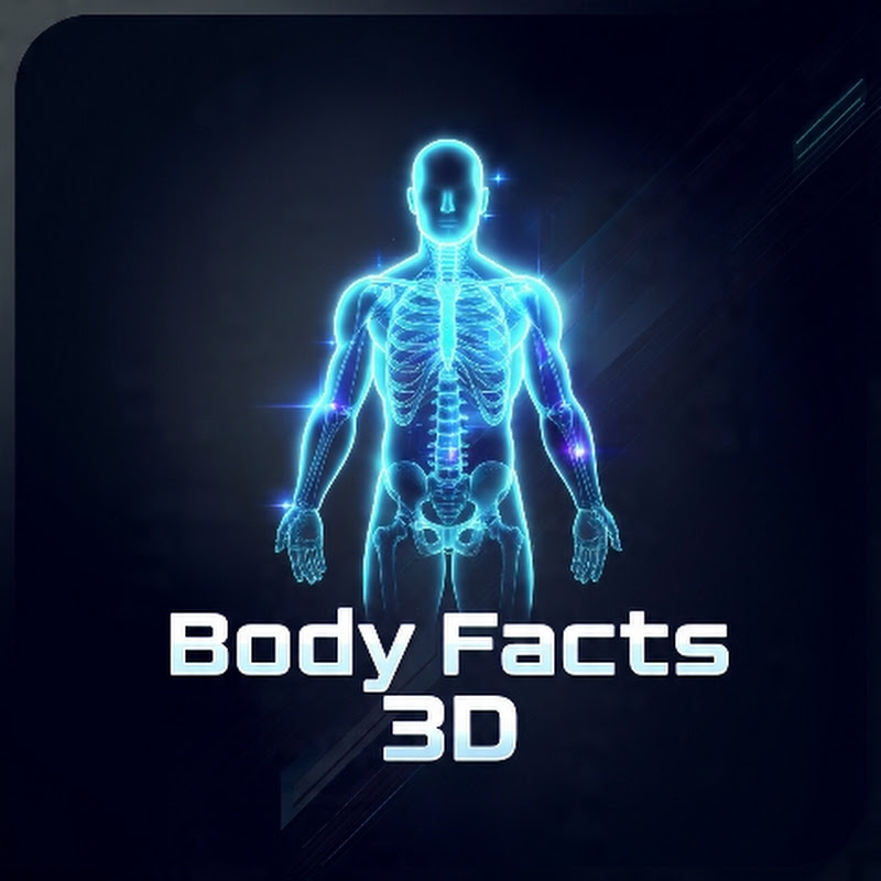 Body Facts 3D 