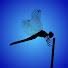 WRfKowcE7gs-channel-avatar-LyLuLe Creative and 2 more