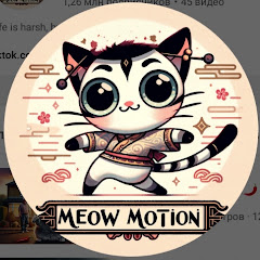 Meow.Motion