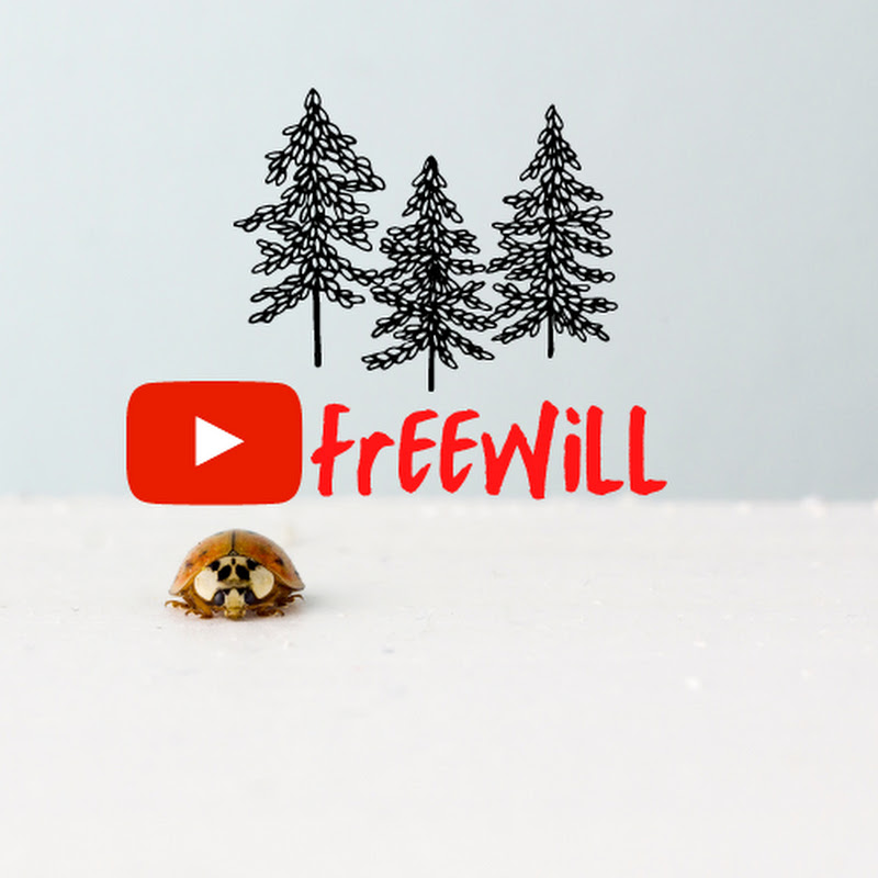 FreeWill
