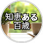 知恵ある百歳