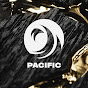 VALORANT Champions Tour Pacific logo