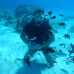 Neil's Travel Adventures