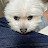 @치킨마시쩡-z6i