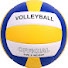 50a_iVspRWE-channel-avatar-Volleynatics