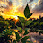 @NatureXPappu