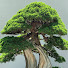 gIN0gmJC9h4-channel-avatar-dhcwsp