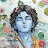 The Krishna Way