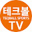 테크볼TV (TEQBALL TV)