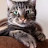 @AliseCatMeow