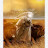 @farhad2143