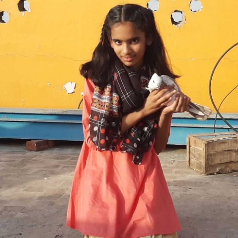 Mehar ki Rang brangi duniya