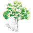 H0tHBLovQyA-channel-avatar-Entropy for Life - Giacomo Moro Mauretto