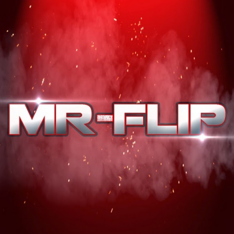🎮  MR-FLIP  🎮