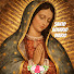 38xHhWP34q4-channel-avatar-Misterios del Rosario