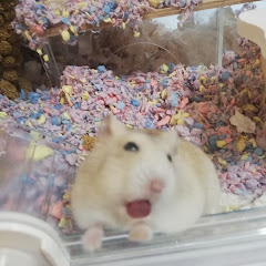 miru miru
