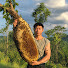 njDxpyeoGiE-channel-avatar-Honey Hunter India
