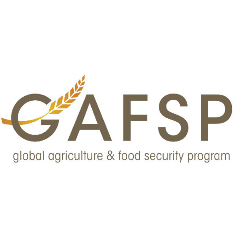 GAFSP info