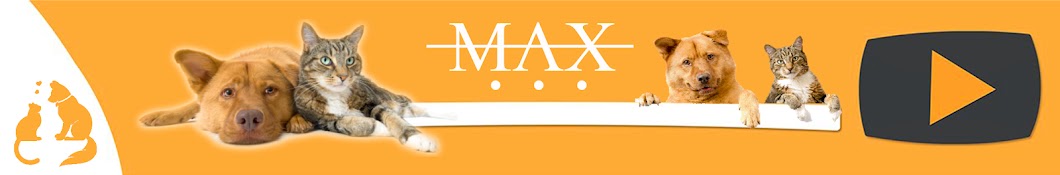 Max Channel YouTube 频道头像