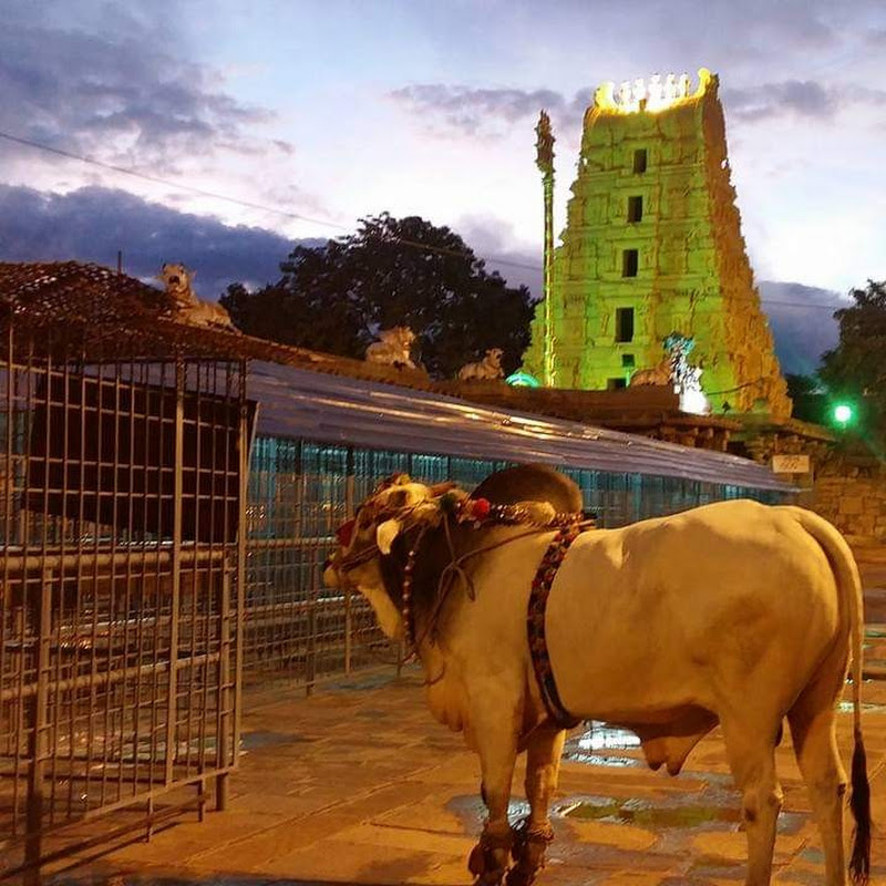 sekhar from srisailam