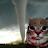 @stormchase_cat Avatar