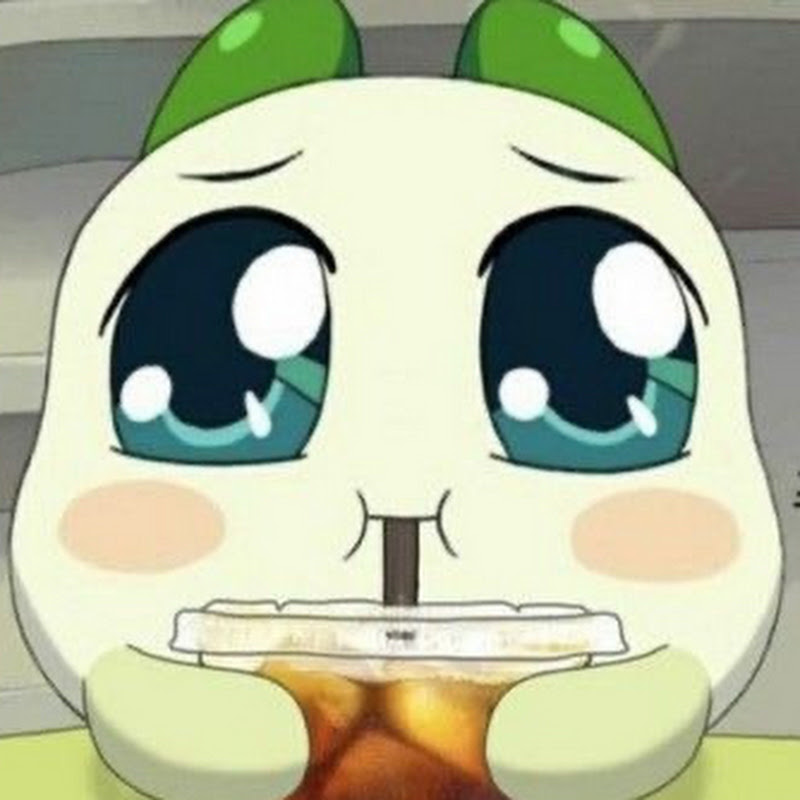 꼬질이에게 생긴 일