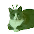 CF8SCZMDxUU-channel-avatar-Crilled Gheese