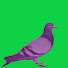 p3QPUonp07A-channel-avatar-Dtonethafirst
