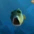 Sc8pTTJIVbs-channel-avatar-randomchannel19
